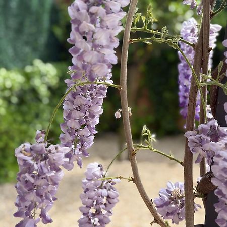 Bakea Apto Con Jardin Privado Bakio Zewnętrze zdjęcie