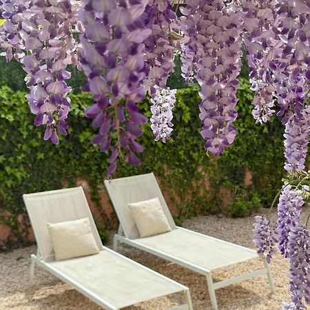 Bakea Apto Con Jardin Privado Bakio Zewnętrze zdjęcie