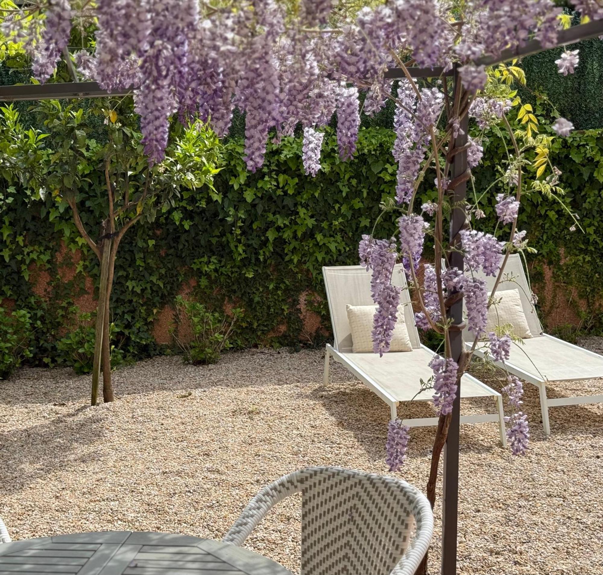 Bakea Apto Con Jardin Privado Bakio Zewnętrze zdjęcie